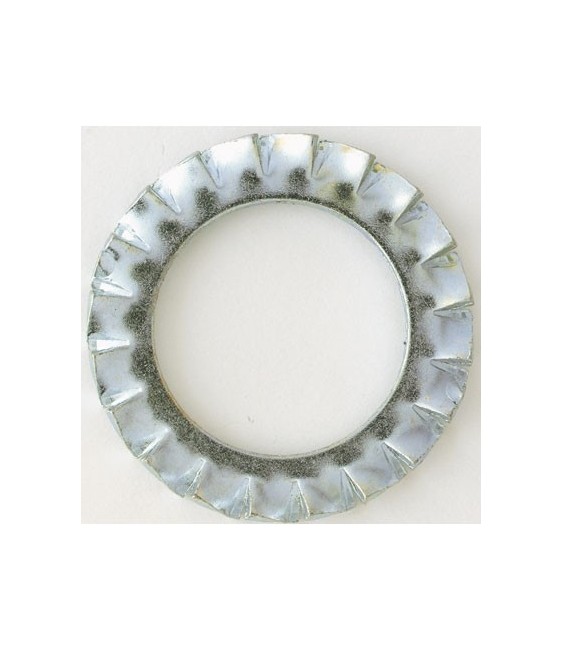 Rondelle "Éventail" à cran -  10 mm - Lot de 200 - SCID
