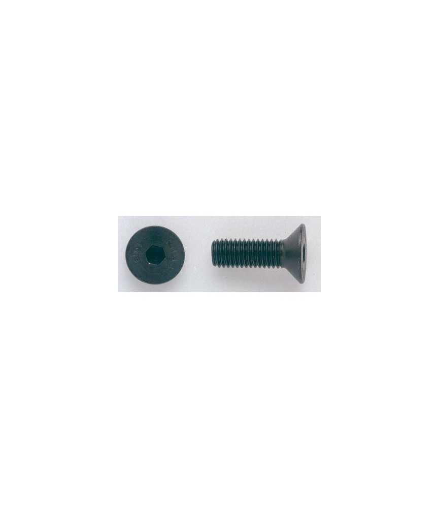 Vis 6 pans Tête fraisée creuse - Acier Brut - 10 x 40 mm - Lot de 100 Vis 6 pans Tête fraisée creuse - Acier Brut - 10 x 40 mm - Lot de 100