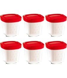 6 pots yaourtière multi délices express couvercle rouge - XF100501 - SEB