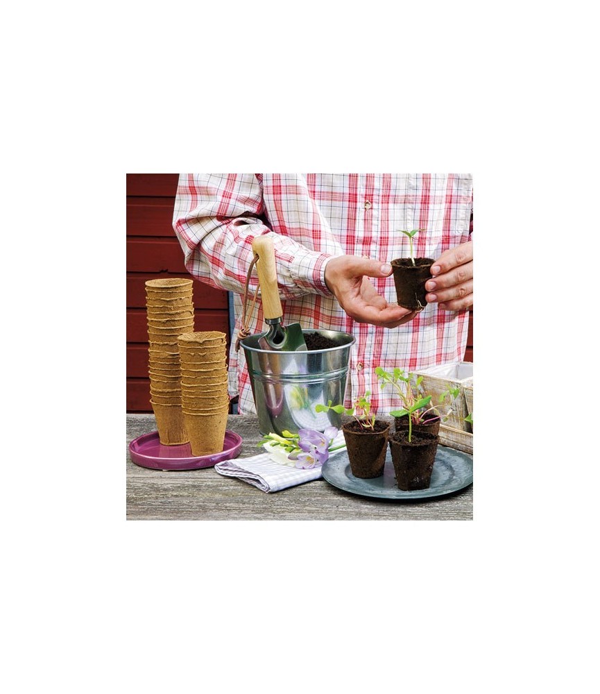 16 pots biodégradables de 8 cm de diamètre - 100 % biodégradables - Pour semis - ROMBERG