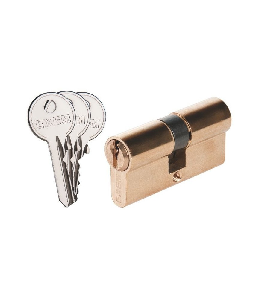 Cylindre 2 entrées Laiton 5G - 60 X 30 mm - EXEM