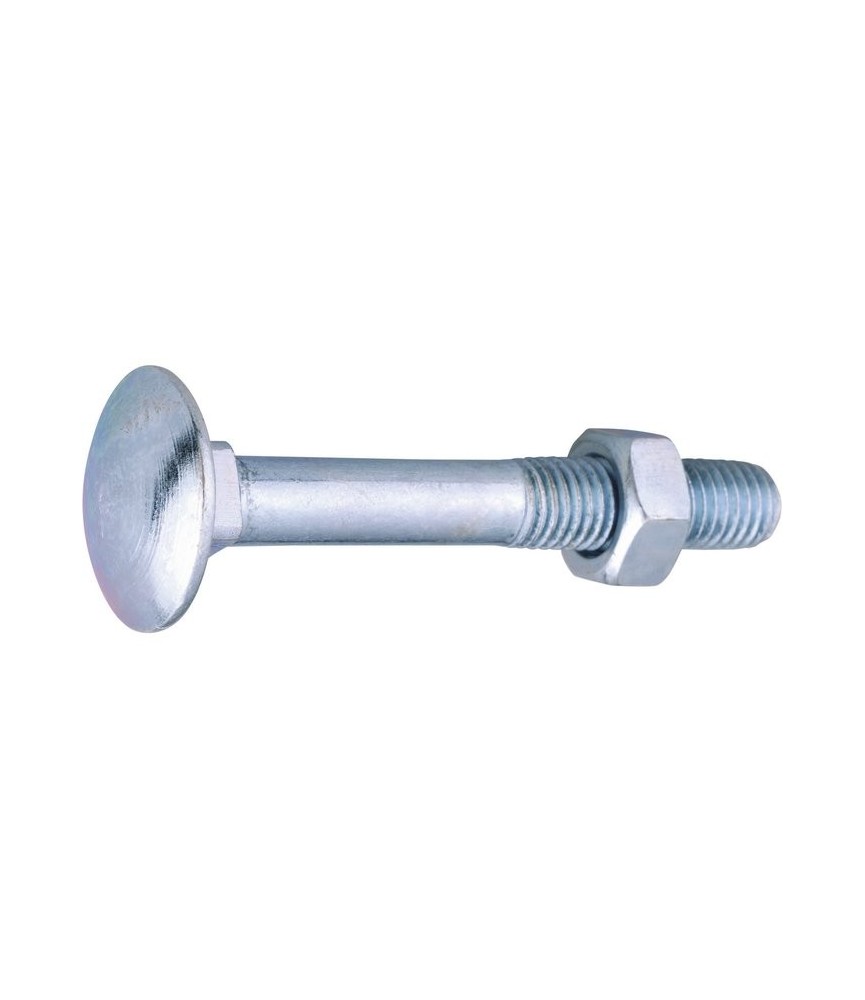 Boulon TRCC Bois - Tête ronde - Acier zingué blanc - 7 mm - Lot de 200 - VISWOOD Boulon TRCC Bois - Tête ronde - Acier zingué blanc - 7 mm - Lot de 200 - VISWOOD