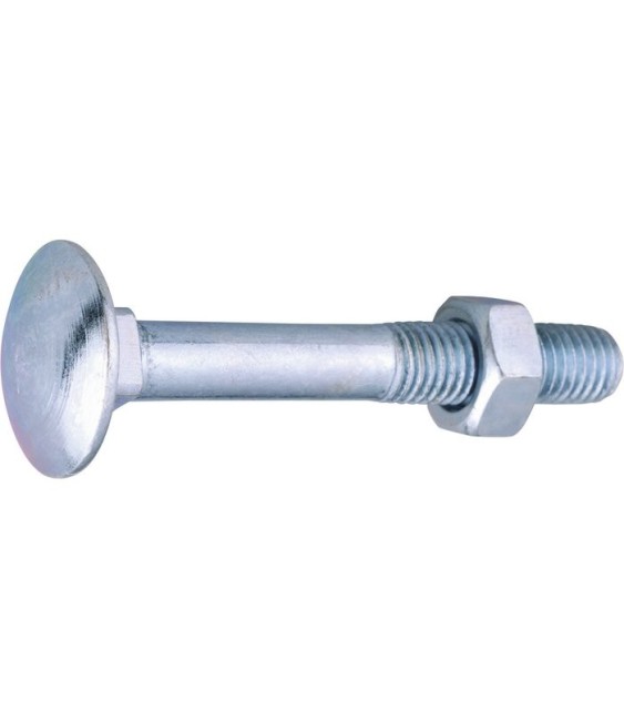 Boulon TRCC Bois - Tête ronde - Acier zingué blanc - 10 mm - Lot de 50 - VISWOOD