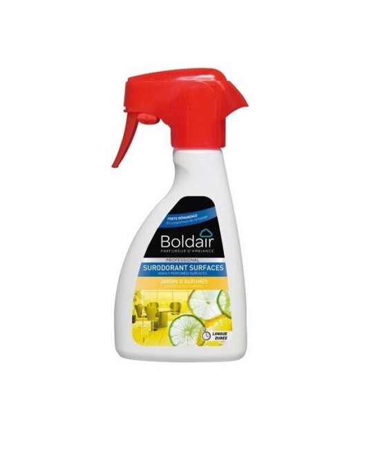 Surodorant surfaces - Agrumes - 250 ml - BOLDAIR