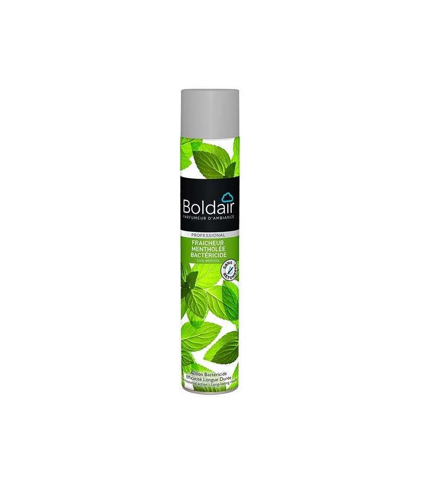 Désodorisant et assainisseur d'air - Fraîcheur mentholée bactéricide - 500 ml - BOLDAIR Désodorisant et assainisseur d'air - Fraîcheur mentholée bactéricide - 500 ml - BOLDAIR