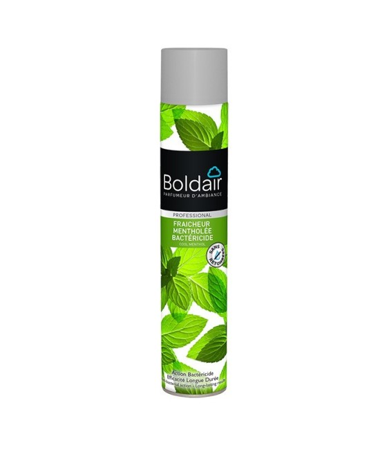 Désodorisant et assainisseur d'air - Fraîcheur mentholée bactéricide - 500 ml - BOLDAIR