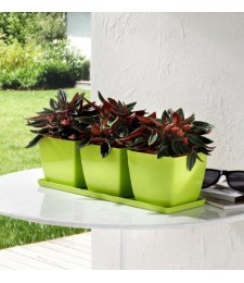 Set de 3 pots carrés avec soucoupe - Trio Santiago - 35 cm - Cèdre - TERAPLAST
