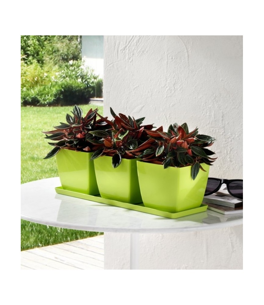 Set de 3 pots carrés avec soucoupe - Trio Santiago - 35 cm - Cèdre - TERAPLAST Set de 3 pots carrés avec soucoupe - Trio Santiago - 35 cm - Cèdre - TERAPLAST