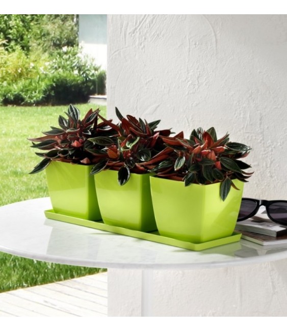 Set de 3 pots carrés avec soucoupe - Trio Santiago - 35 cm - Cèdre - TERAPLAST