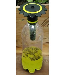 Piège à guêpe pour bouteille de soda - Wasp Trap