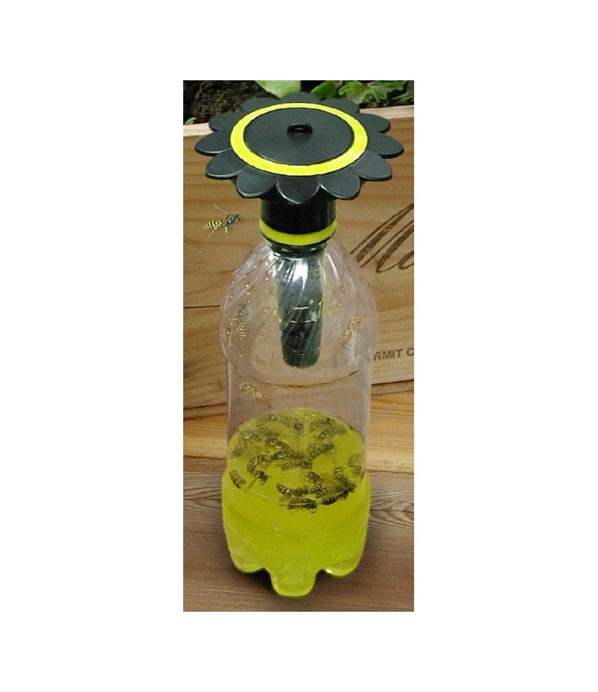 Piège à guêpe pour bouteille de soda - Wasp Trap Piège à guêpe pour bouteille de soda - Wasp Trap