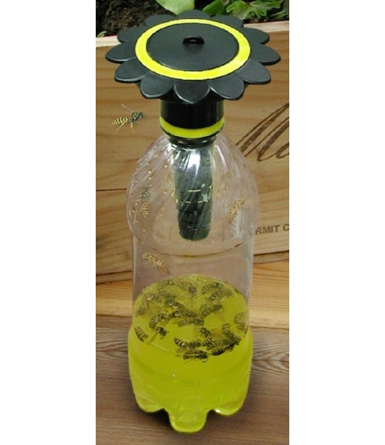 Piège à guêpe pour bouteille de soda - Wasp Trap