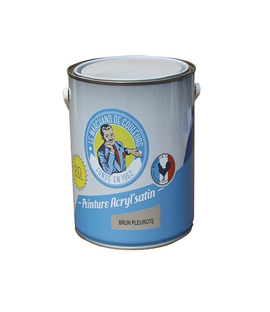 Peinture acrylique - Murs et plafonds - Satin - Brun pleurote - 2.5 L - ONIP Peinture acrylique - Murs et plafonds - Satin - Brun pleurote - 2.5 L - ONIP
