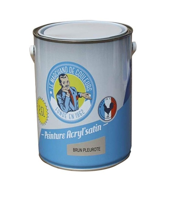 Peinture acrylique - Murs et plafonds - Satin - Brun pleurote - 2.5 L - ONIP