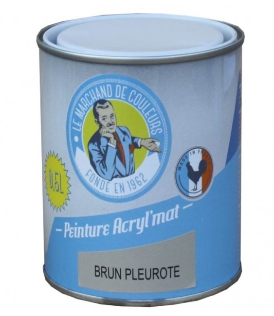 Peinture acrylique - Murs et plafonds - Mat - Brun pleurote - 0.5 L - ONIP