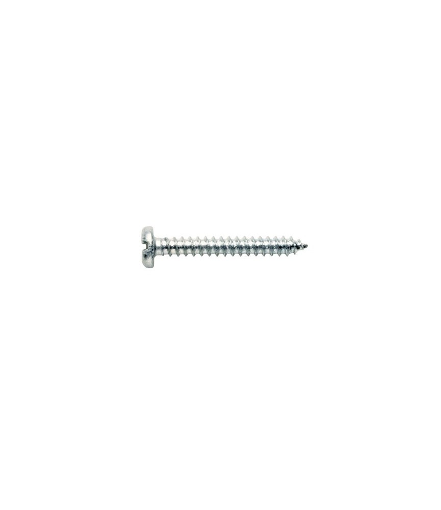 Vis à tole Bombée cylindrique Pozidriv - 4.8 x 30 mm - Lot de 200 - GFD