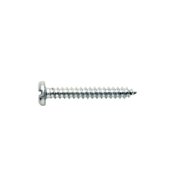 Vis à tole Bombée cylindrique Pozidriv - 4.8 x 30 mm - Lot de 200 - GFD