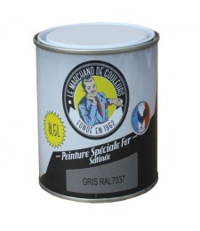 Peinture Spécial Fer - Satinée - Gris - 0.5 L - ONIP