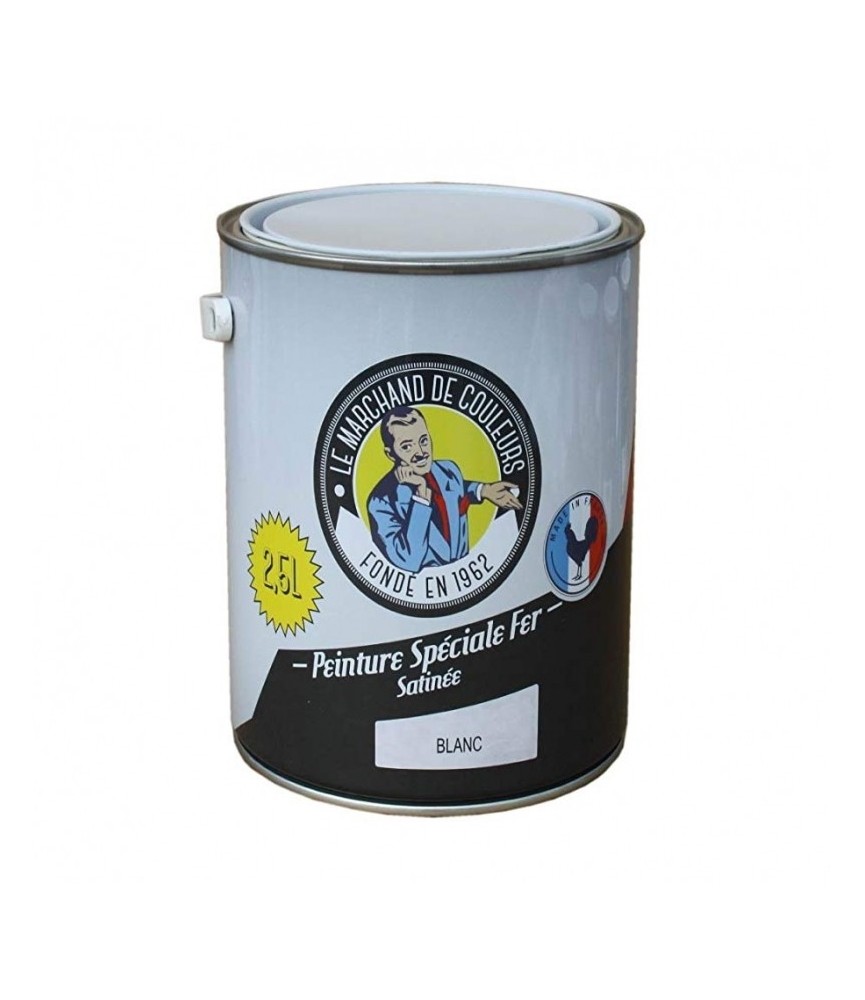 Peinture Spécial Fer - Satinée - Blanc - 2.5 L - ONIP