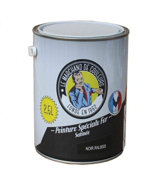 Peinture Spécial Fer - Satinée - Noir - 2.5 L - ONIP