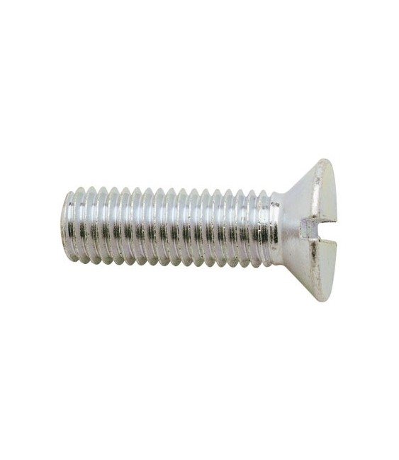 Vis à métaux Tête Fraisée fendue - 3 x 10 mm - Lot de 500 - GFD