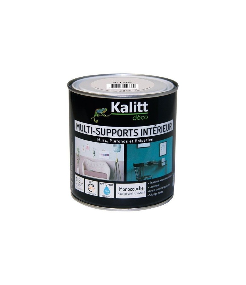 Peinture multi-supports - Intérieur - Mat - Plume - 0.5 L - KALITT