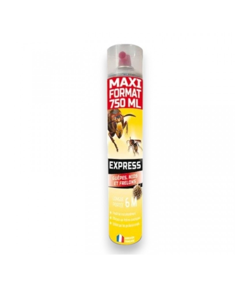 Foudroyant guêpes et frelons - Longue portée - 6 M - 750 ml - ÉCOGENE Foudroyant guêpes et frelons - Longue portée - 6 M - 750 ml - ÉCOGENE
