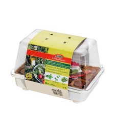 Mini-serre pour plantes aromatiques - 29 cm - ROMBERG