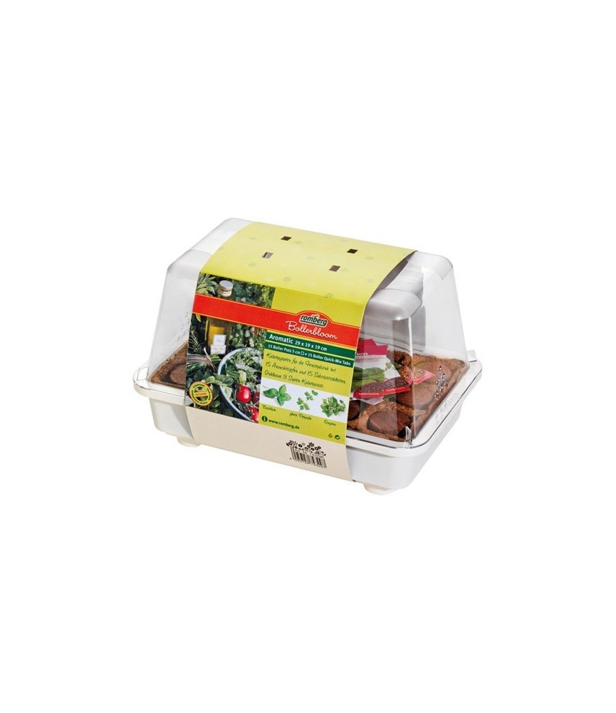 Mini-serre pour plantes aromatiques - 29 cm - ROMBERG Mini-serre pour plantes aromatiques - 29 cm - ROMBERG
