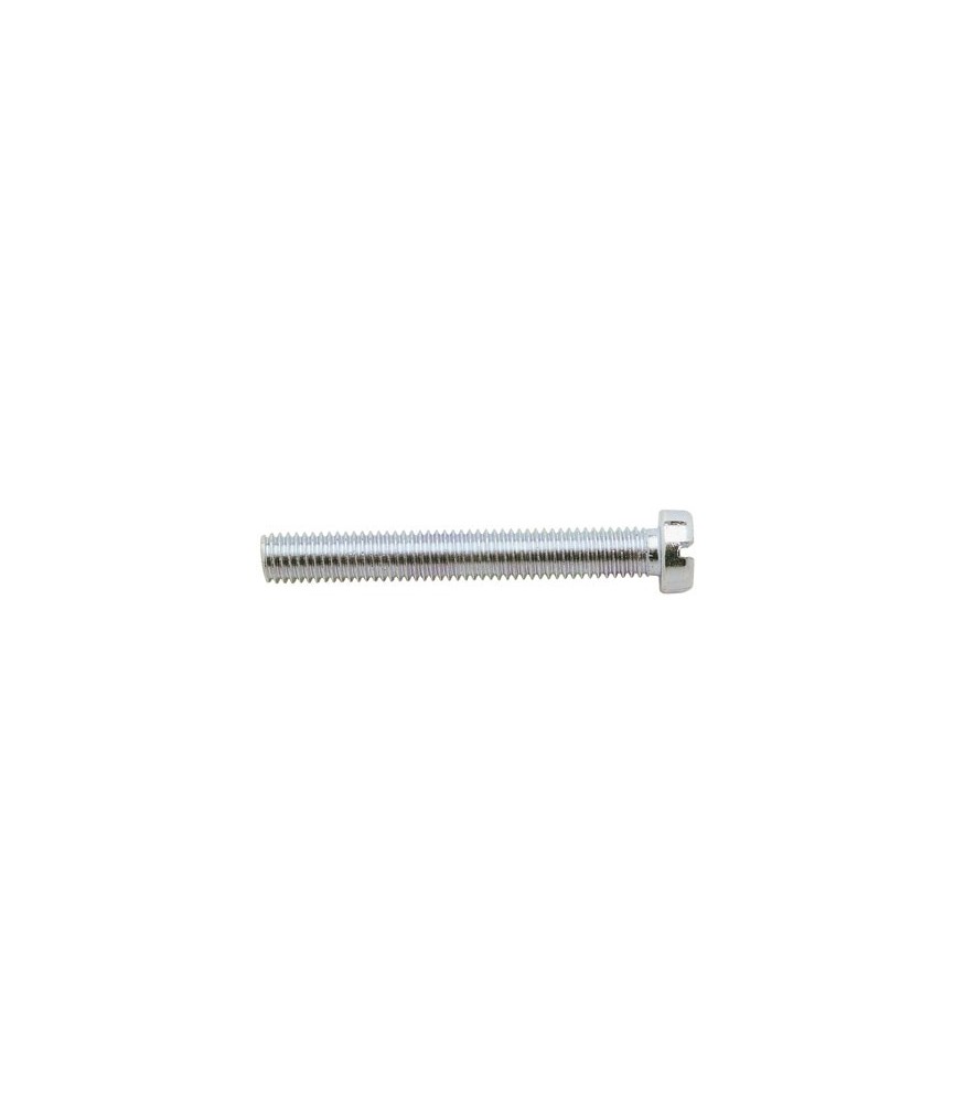 Vis à métaux Tête Cylindrique fendue - 3 x 30 mm - Lot de 500 - GFD Vis à métaux Tête Cylindrique fendue - 3 x 30 mm - Lot de 500 - GFD