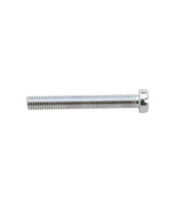 Vis à métaux Tête Cylindrique fendue - 3 x 30 mm - Lot de 500 - GFD