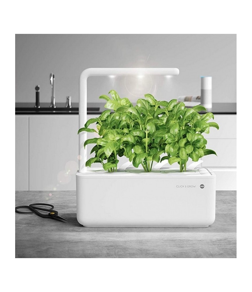 Potager d'intérieur - Click & Grow - Smart Garden 3 - Blanc - EMSA Potager d'intérieur - Click & Grow - Smart Garden 3 - Blanc - EMSA