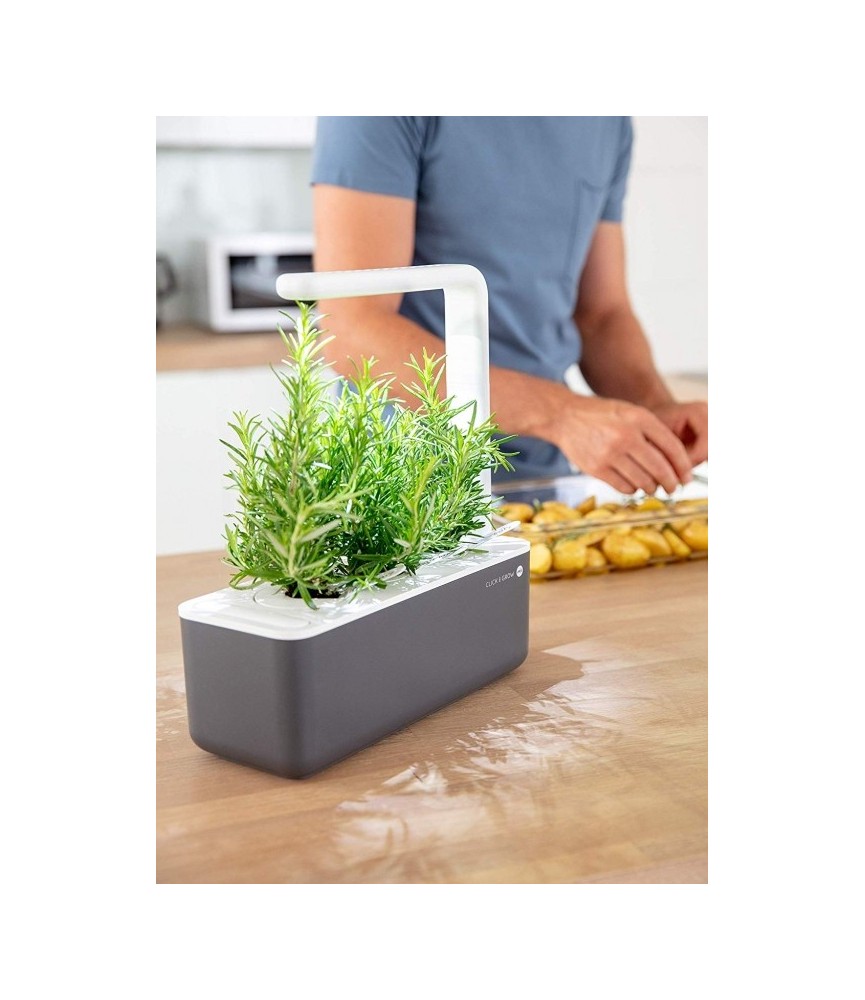 Potager d'intérieur - Click & Grow - Smart Garden 3 - Gris - EMSA Potager d'intérieur - Click & Grow - Smart Garden 3 - Gris - EMSA