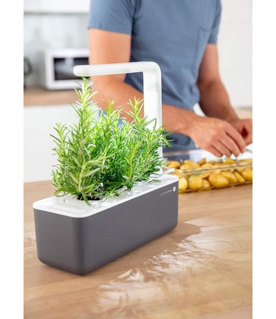 Potager d'intérieur - Click & Grow - Smart Garden 3 - Gris - EMSA