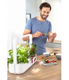 Potager d'intérieur - Click & Grow - Smart Garden 9 - Blanc - EMSA