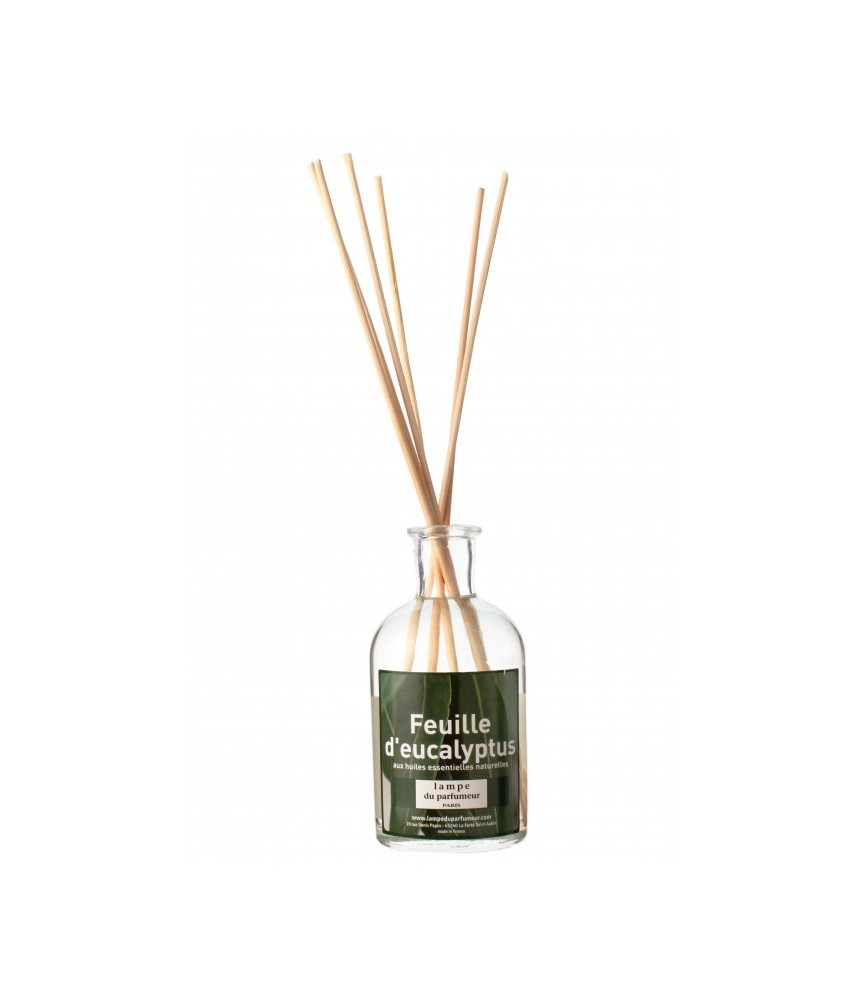 Bambous parfumés - Feuille d'Eucalypstus - 100 ml - LAMPE DU PARFUMEUR Bambous parfumés - Feuille d'Eucalypstus - 100 ml - LAMPE DU PARFUMEUR