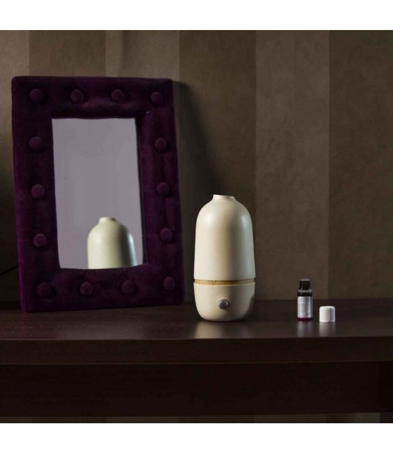 Diffuseur d'huiles essentielles par nébulisation - BO Stone - INNOBIZ