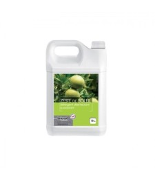 Nettoyant sol désinfectant parfumant Zeste de Soleil 5L - Brioxol