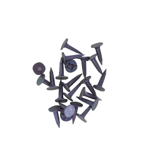 Semence au Lion - 14 mm - 1KG