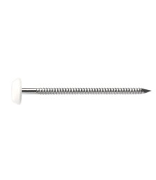 Pointe Plastop Inox A4 Blanc - 2 x 40 mm - Lot de 250