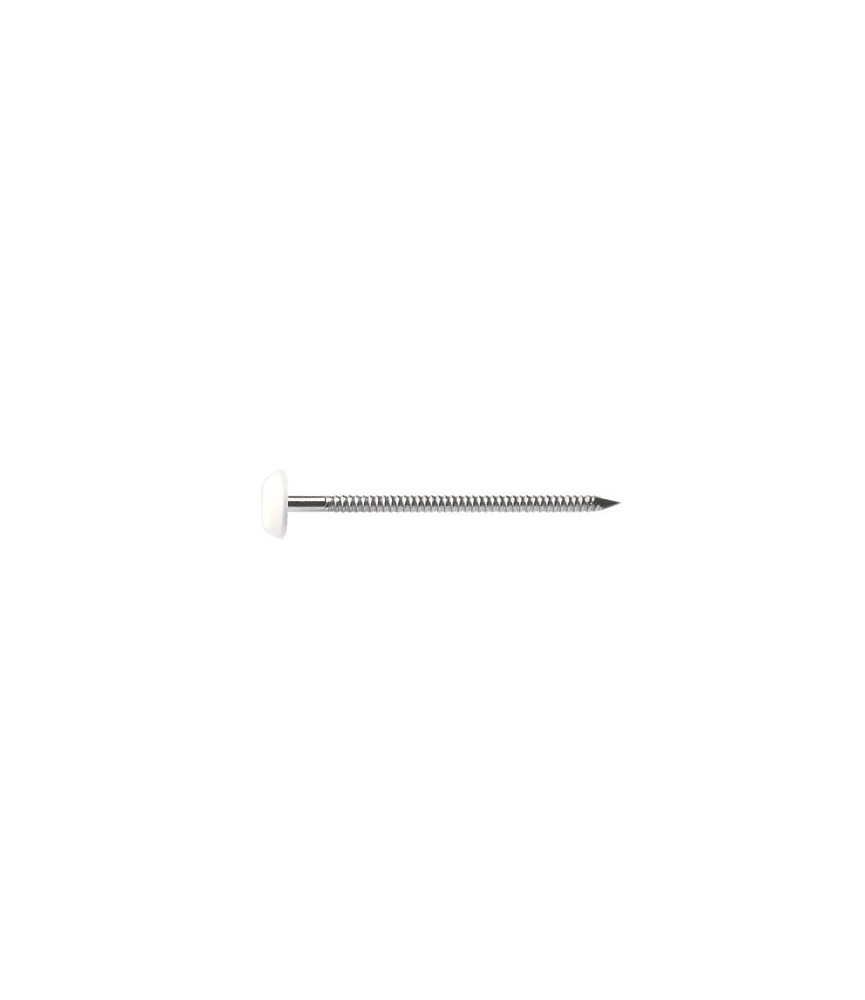 Pointe Plastop Inox A4 Blanc - 2 x 40 mm - Lot de 250 Pointe Plastop Inox A4 Blanc - 2 x 40 mm - Lot de 250