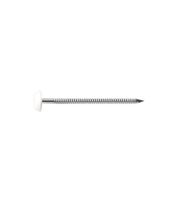 Pointe Plastop Inox A4 Blanc - 2 x 40 mm - Lot de 250