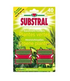 Batonnets nutritifs pour plantes vertes - 40 Batonnets - SUBSTRAL