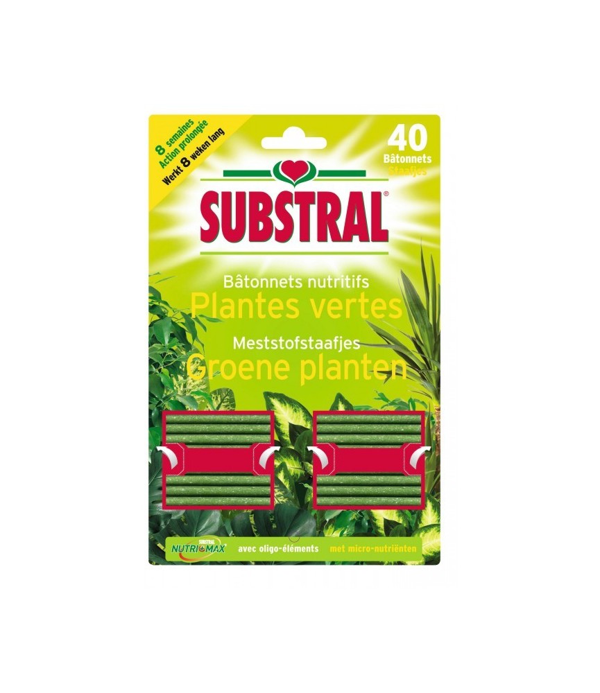 Batonnets nutritifs pour plantes vertes - 40 Batonnets - SUBSTRAL Batonnets nutritifs pour plantes vertes - 40 Batonnets - SUBSTRAL