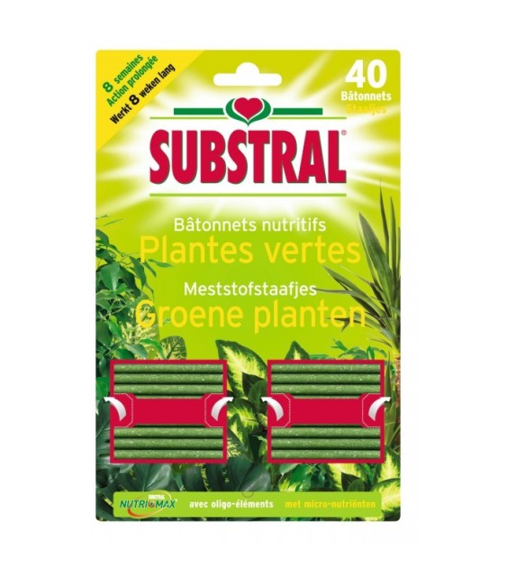 Batonnets nutritifs pour plantes vertes - 40 Batonnets - SUBSTRAL