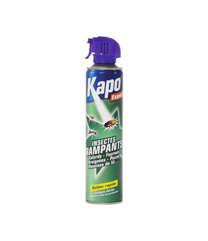 Aérosol Tous Insectes Rampants - KAPO