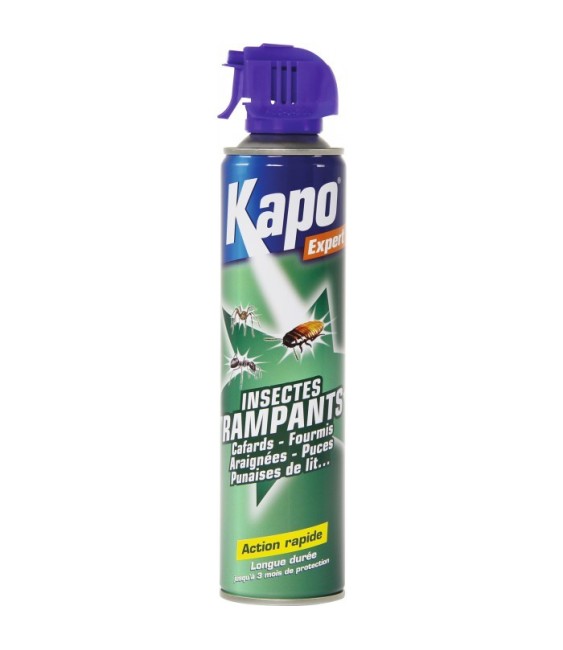 Aérosol Tous Insectes Rampants - KAPO