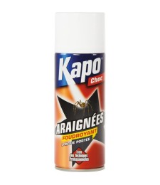 Aérosol Foudroyant Spécial Araignées - KAPO