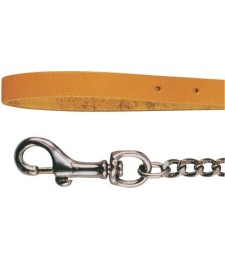 Laisse chaîne chromée pour chien - 113 cm