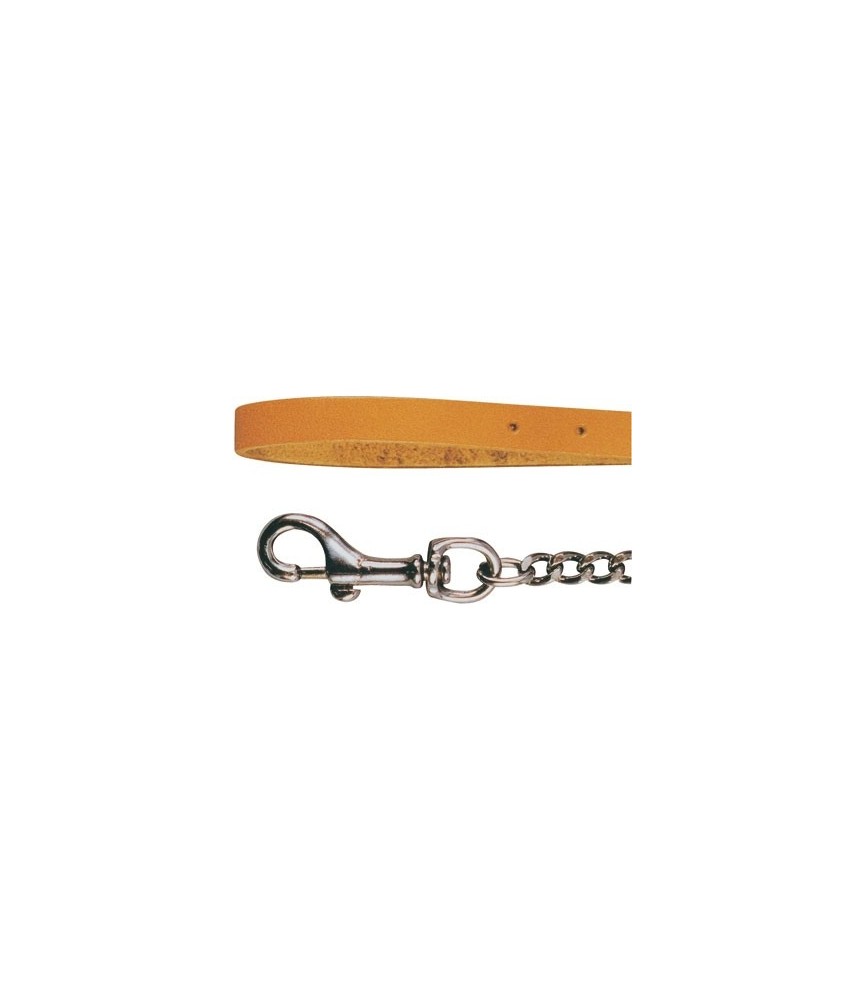 Laisse chaîne chromée pour chien - 113 cm Laisse chaîne chromée pour chien - 113 cm